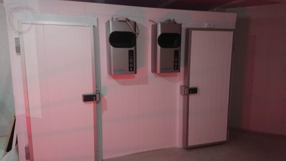 Maximizing Space and Organization in Your Walk-In Freezer Room: Tips and Tricks: